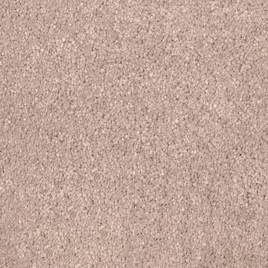 Adoro Carpet Collection