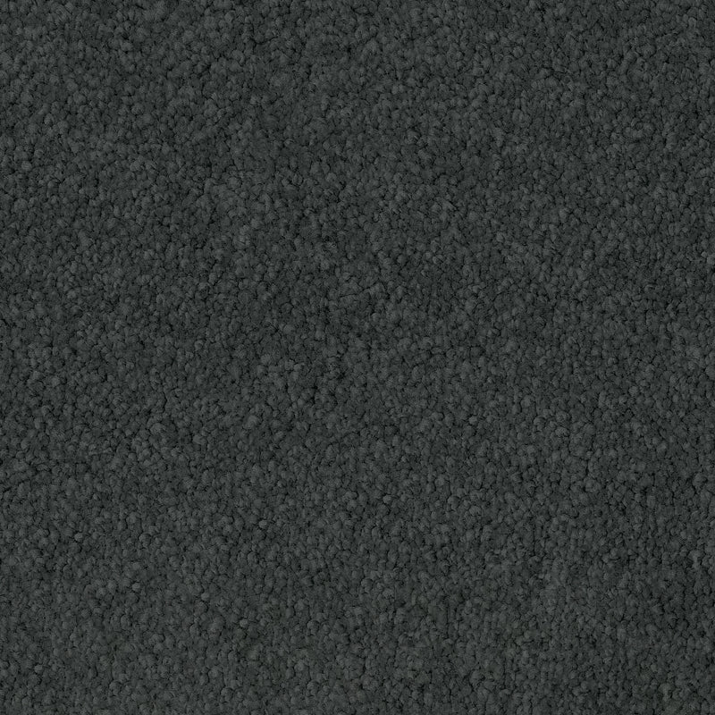 Adoro Carpet Collection