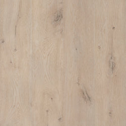 product variant modal image