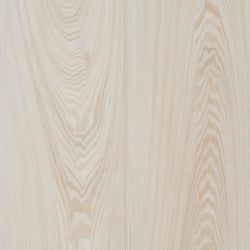 product variant modal image