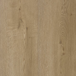 product variant modal image