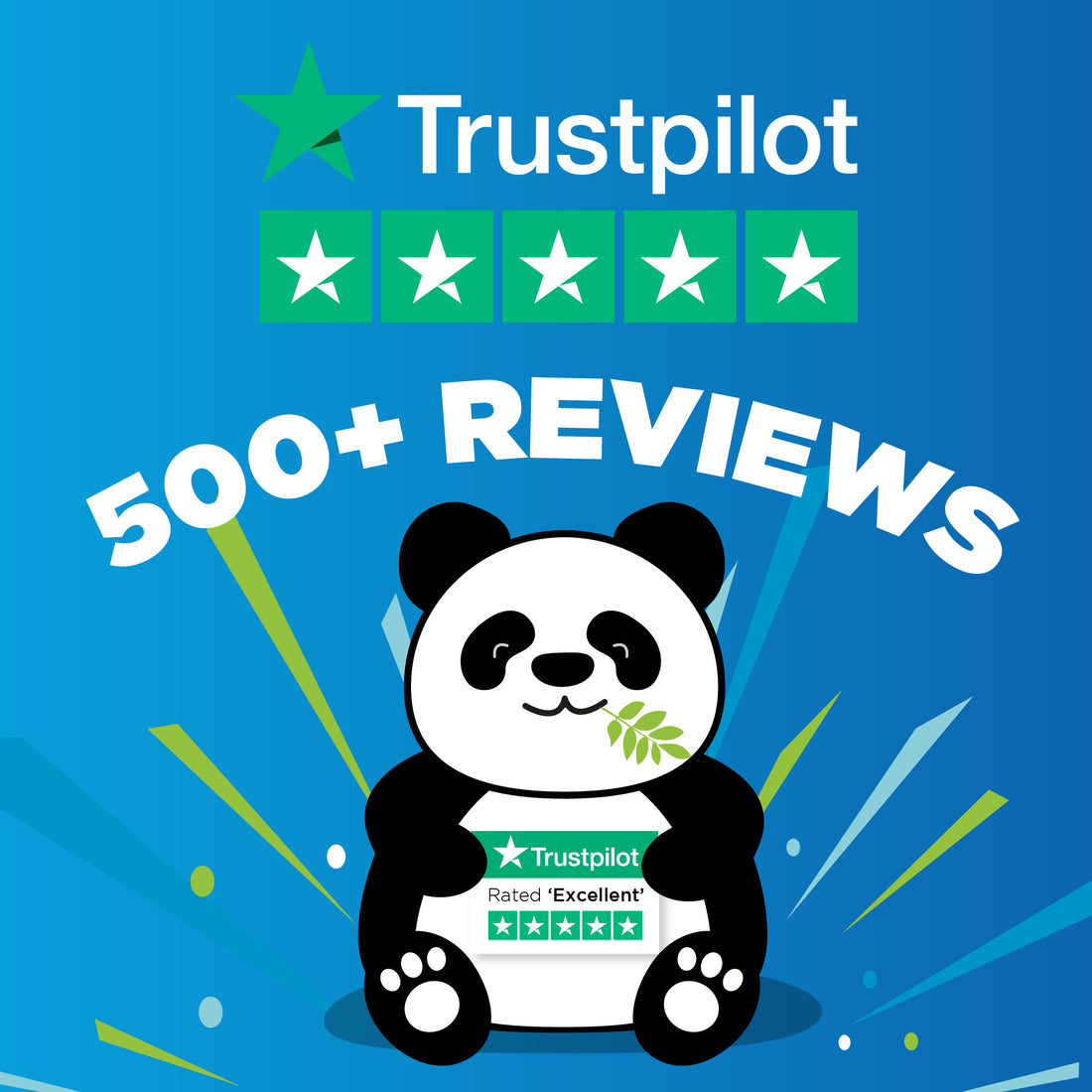 Lazy Carpets Warrington Trustpilot 5 Star Reviews