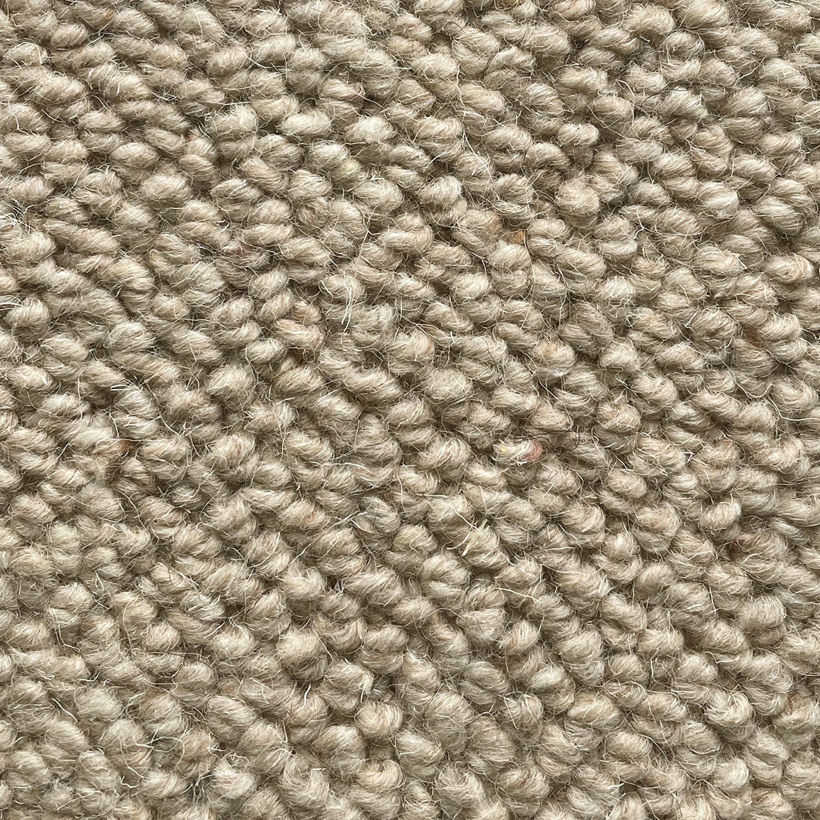 Nickleby Tufted Wool Carpet Collection