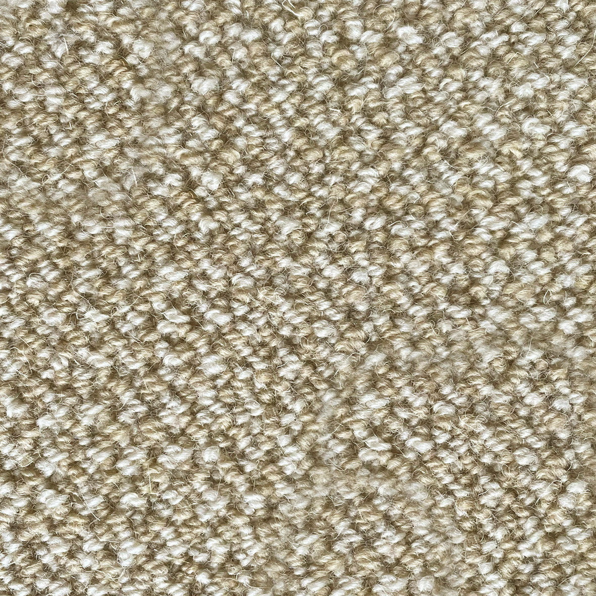 Secret Garden Tufted Wool Carpet Collection
