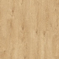 product variant modal image