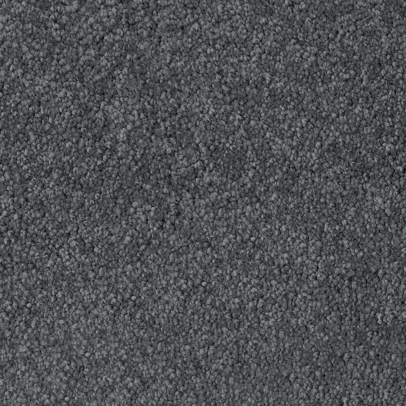 Adoro Carpet Collection