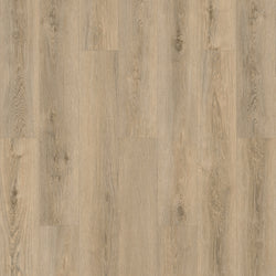 product variant modal image