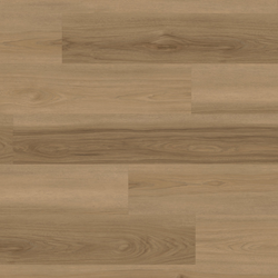 product variant modal image