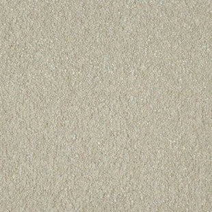 collection image