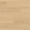 product variant icon