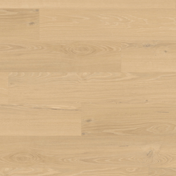 product variant modal image