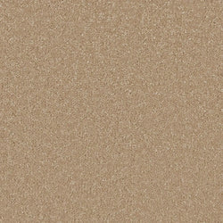 product variant modal image