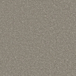 product variant modal image