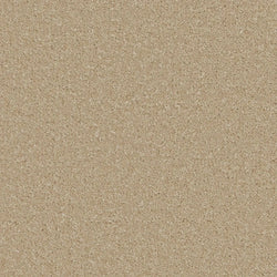 product variant modal image