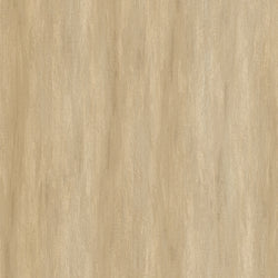 product variant modal image