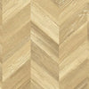 product variant icon